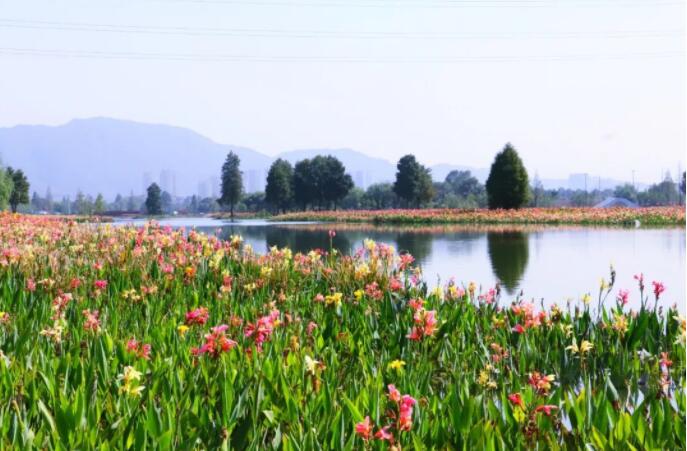 阳陂湖